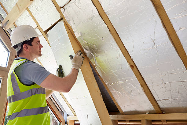 Best Cellulose Insulation in Mount Vernon, VA